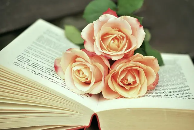 Best Motivational Books for Success